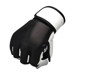2025% Gants de boxe en cuir de meilleure qualité avec poignées - Product Image 3