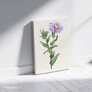 Impression sur toile d'art mural botanique d'aster violet, illustration moderne de fleurs sauvages, cadre en bois, décoration intérieure - Product Image 2