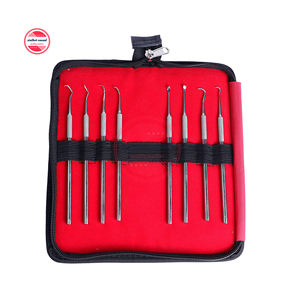 Sondas de ortodoncia para el cuidado Dental, juego de escariadores de sondas quirúrgicas con Logo personalizado - Product Image 1