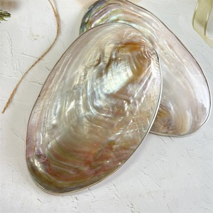 Mother of Pearl Spoon for Fine Dining Restaurant Use Caviar <b>Dessert</b> Jam Spoon with Custom Logo Option - Product Image 4