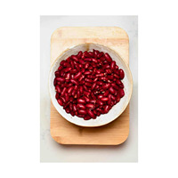 Haricots rouges de qualité supérieure en gros, forme longue, rouge foncé, frais, marque BVBA TOYA TRADING, Belgique, paquet de 20 kg