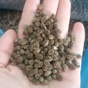 Graines de papaye séchées biologiques et naturelles Valeur Made in Vietnam pour les recettes familiales Produit agricole - Product Image 2