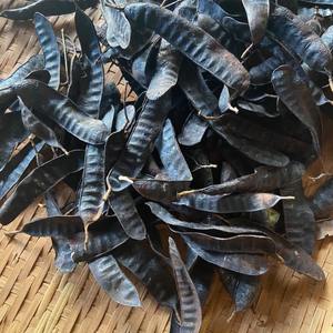 Langosta negra de alta calidad al por mayor, buen precio, langosta del mejor fabricante vietnamita - Product Image 4