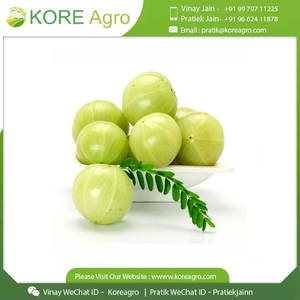 Produit sain et biologique de qualité alimentaire Meilleure qualité Amla naturel à prix compétitif de l'exportateur indien - Product Image 5