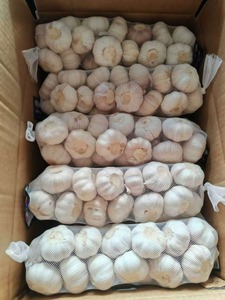 Ajo Blanco Normal / Ajo Rojo / Ajo Morado, Exportación Directa de Fábrica China con Bolsa de Malla Personalizada e Impresión de Logotipo, Fresco - Product Image 5