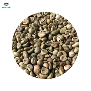 Tela de alta qualidade para fornecedores e atacadistas de grãos de café verde specialty vietnã arábica 13, 16, 18