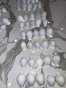Vietnam Cowrie Shells Bulk Supply for Handicrafts Interior and Resort <b>Decoration</b> - Product Image 4