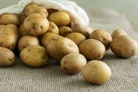 Goedkope groothandel biologische verse aardappelen (Solanum Tuberosum) te koop