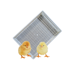 ม้วนพื้นไม้ระแนงพลาสติกจัดส่งที่รวดเร็วการออกแบบใหม่สําหรับการปรับแต่งอุปกรณ์สัตว์ปีกสัตว์ปีกที่ผลิตในเวียดนาม - Product Image 1