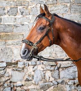 Brida de caballo de ajuste cómodo Cuero Premium Ajustable Durable Elegante Acolchado suave Espectáculo de equitación Doma Occidental Control de salto - Product Image 3