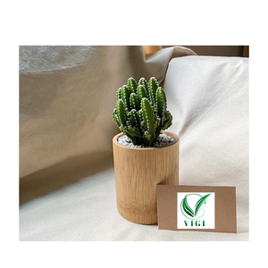 Jardinière suspendue en bambou écologique-Design créatif pour les espaces de jardin modernes - Product Image 3