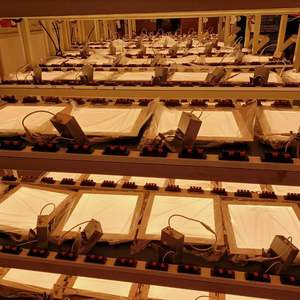 <span class=keywords><strong>ETL</strong></span> ES FCC 4inch 9 wát vuông LED Bảng điều chỉnh ánh sáng với không có nhấp nháy điều khiển 120V điện áp CCT có thể điều chỉnh ẩm ướt vị trí 5 năm bảo hành - Product Image 6