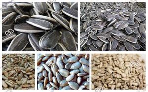 Hot Sale Automatic Sacha Inchi <strong>Seed</strong> Separating Shelling <strong>Pine</strong> <strong>Nut</strong> Peeling Hemp Sunflower Pumpkin <strong>Seeds</strong> Dehulling Machine Price - Product Image 6