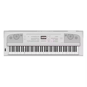 WHOLESALE <b>SALES</b> OF TRENDING AB DGX670WH 88 <b>Keyboard</b> Pianos - Product Image 4