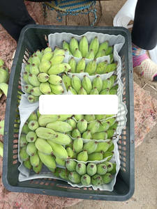 Cestas Agrícolas Personalizables de Materiales Reciclados con Serigrafía, Asa de Metal para Almacenamiento de Frutas, Hechas de Plástico PP - Product Image 3