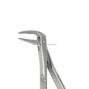 Forceps d'extraction dentaire en acier inoxydable de haute qualité, pinces à racines manuelles, instruments chirurgicaux stérilisés, certifiés CE classe I - Product Image 5