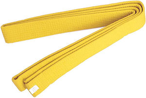 Premium Quality Karate <b>Martial</b> <b>Arts</b> Uniform Belt Waterproof High Waist Double Stitched Customizable - Product Image 2