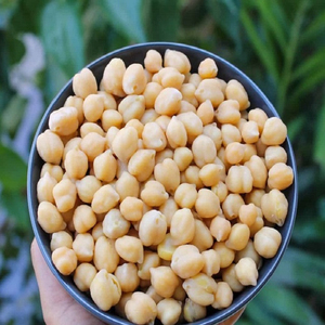 Distributeur mondial en gros de pois chiches de qualité alimentaire, directement de l'usine - Product Image 1