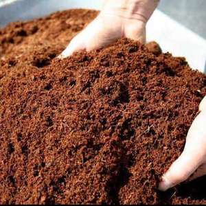 Coco Peat Premium Indobristle CCF01 para Plantaciones - Suministro Directo de Fábrica desde Indonesia, Alta Calidad y Mejor Precio - Product Image 3