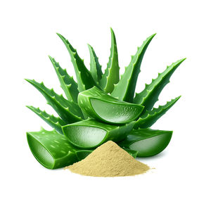 ผง aloevera ธรรมชาติบริสุทธิ์เกรดอาหารผง aloevera - Product Image 2