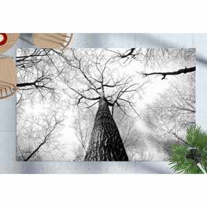 Alfombra Estampada con Diseño de Ramas de Árbol - Linda y Suave para Decoración del Hogar, con Pelo Suave - Product Image 2