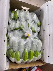 Sabor dulce orgánico al por mayor, plátano verde - Product Image 3