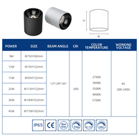 Plafonnier LED COB encastré IP65 9W 12W 15W 25W 36W Cylindre pour plafond extérieur commercial
