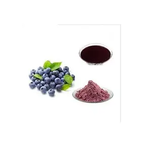 100% 天然有机自由基抗氧化剂高效液相色谱紫色花青素蓝莓提取物粉末补充剂