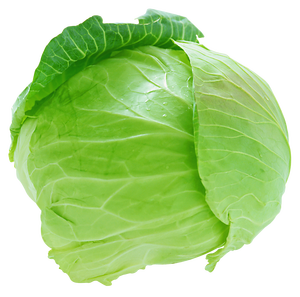 Competitive Price <b>Fresh</b> <b>Cabbage</b> Origin Variety Vegetables <b>Fresh</b> White <b>Cabbage</b> Wholesale Green <b>Cabbage</b> - Product Image 3
