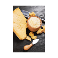 Herbojit International, Queso en Polvo Liofilizado 100% Natural de Calidad Superior (Cheddar), Hecho en India, 12 Meses de Duración, Bolsa de Polietileno