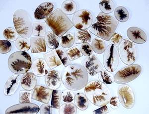 Shazar dendritic Agate หินอัญมณี Cabochon ธรรมชาติที่ดีของควอตซ์รูปร่างผสมสำหรับการทำเครื่องประดับ - Product Image 4