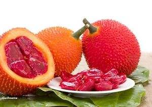 Ms Hana-Gac de polvo de color Natural, en Vietnam, con paquete de vacío - Product Image 2