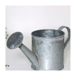 Arrosoir galvanisé pour plantes de pelouse Arrosoir écologique de forme ronde de haute qualité pour jardinière Fabricant d'articles - Product Image 4