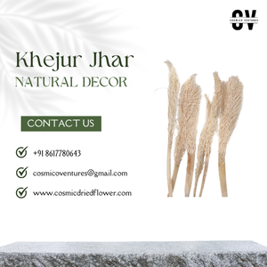 Flor Seca Ecológica de Primera Calidad, Khejur Jhar, para Graduación, Halloween, Boda, Día del Padre, Hogar, Oficina, Interior/Exterior - Product Image 2