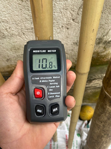 Estacas de Bambú Secas para Uso Agrícola, Soporte para Plantas con Procesamiento Personalizado - Product Image 6