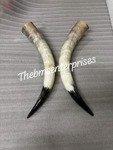 Paires de cornes d'ox africaines les plus longues, noires et blanches, polies, écologiques, style animal, décoration d'intérieur - Product Image 3