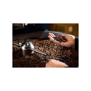 コーヒー豆生ロブスタコーヒー食品や飲料を作るために使用するベストチョイス純度