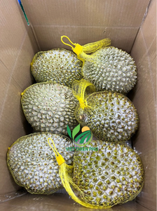 Durian congelado IQF de alta calidad de VIET THIEN PHU VIET NAM Embalaje a granel Carne entera Sabor dulce Mejor precio en marzo - Product Image 6