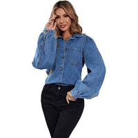 Kemeja denim wanita ukuran besar bergaya gothic dengan kancing berhiaskan rhinestones, motif leopard, lengan bishop, dan sabuk,  bisa dipesan secara grosir dan disesuaikan.