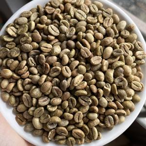 Granos de café verde Robusta, el mejor vendedor, proceso de limpieza de granos de café verde Robusta hecho en Vietnam con servicios de personalización - Product Image 1