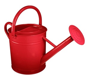 Arrosoir en métal galvanisé de haute qualité sans rouille outils de décoration de jardin Supplie personnaliser la conception de couleur exportateur indien - Product Image 1