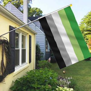 Ароматический флаг 3 'x 5' полиэстер LGBT баннер для гей-парада флаг прямых союзников - Product Image 2