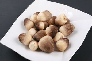 Nouvel arrivage 2026 : Champignons de paille entiers en conserve du Vietnam, en saumure, qualité alimentaire supérieure, vente en gros, export, fabricant OEM, marque privée - Product Image 4