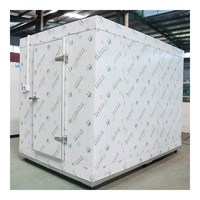 Ruang Pendingin Freezer 20ft, Ruang Penyimpanan Dingin Custom Besar Hemat Energi, Gudang Cold Room
