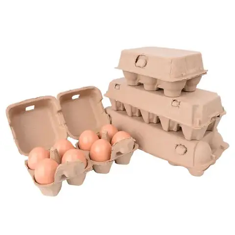 Telur meja ayam pertanian segar telur ayam segar coklat dan putih