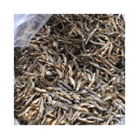 Petite taille frais 100% fruits de mer délicieux en gros nouveau poisson d'anchois gris râpé séché du Vietnam Elysia 0084789310321