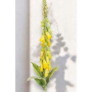 ถุงมือจิ้งจอกสีเหลือง - Product Image 2