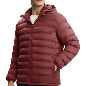 Vestes d'hiver matelassées pour hommes, légères, imperméables, à capuche, surdimensionnées, avec logo personnalisé en gros, veste d'extérieur en 2026 - Product Image 2