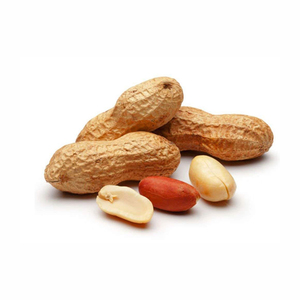 High Grade Non-GMO Organic <b>Peanuts</b> and Cashews Natural Raw Nuts With Salt Good Quality Dried Foods - Product Image 3