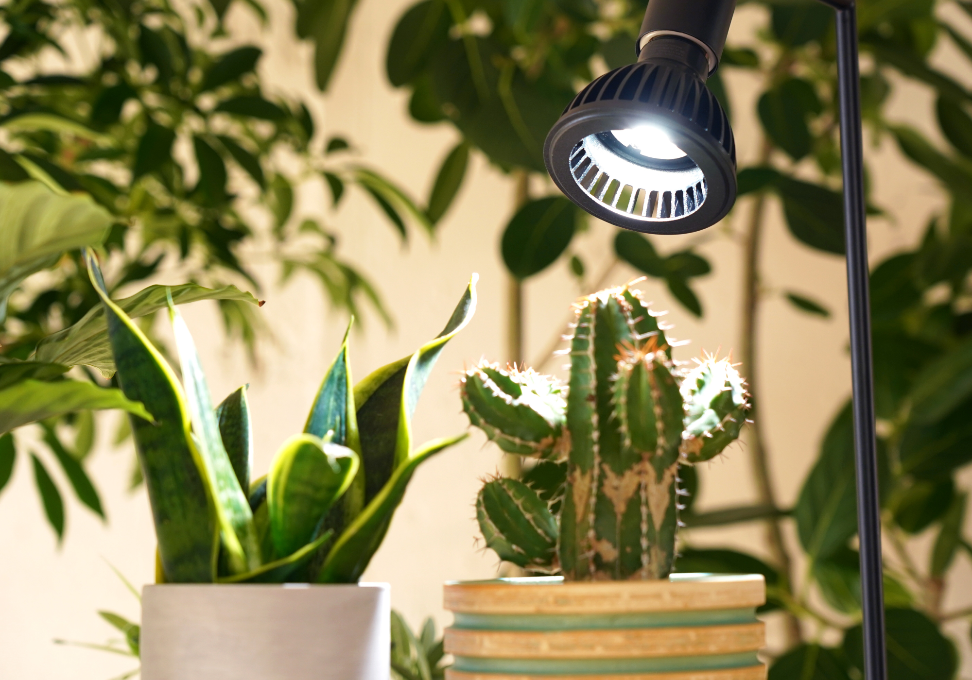 AMATERAS 10W LED Plant Grow Lights Natural Color Rendering Ra97